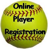 Online Registration Icon